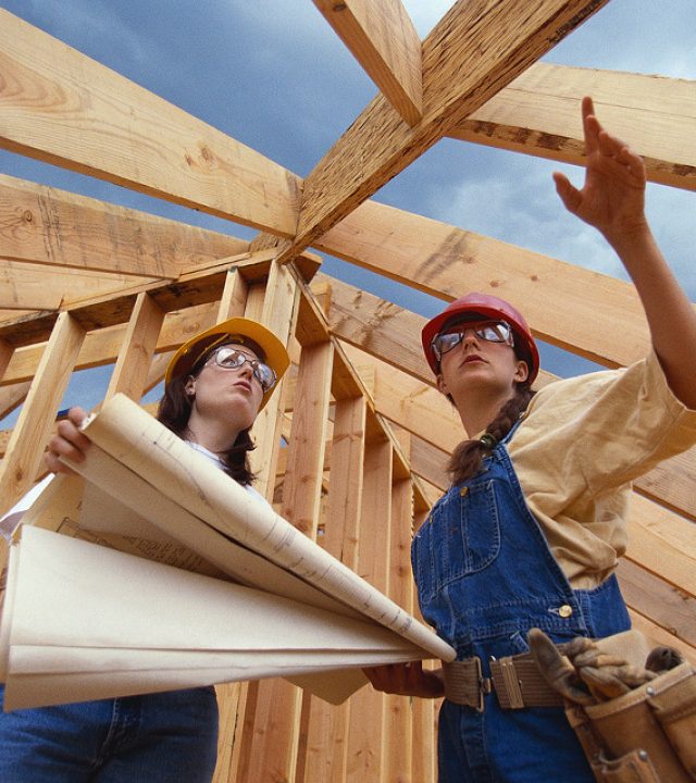 2 carpenter planning for their carpentry work